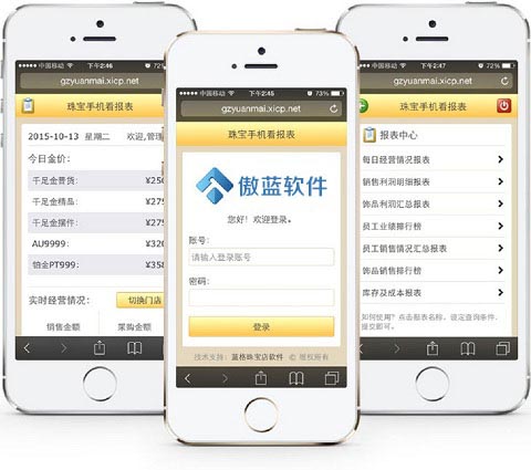 傲蓝珠宝店管理软件